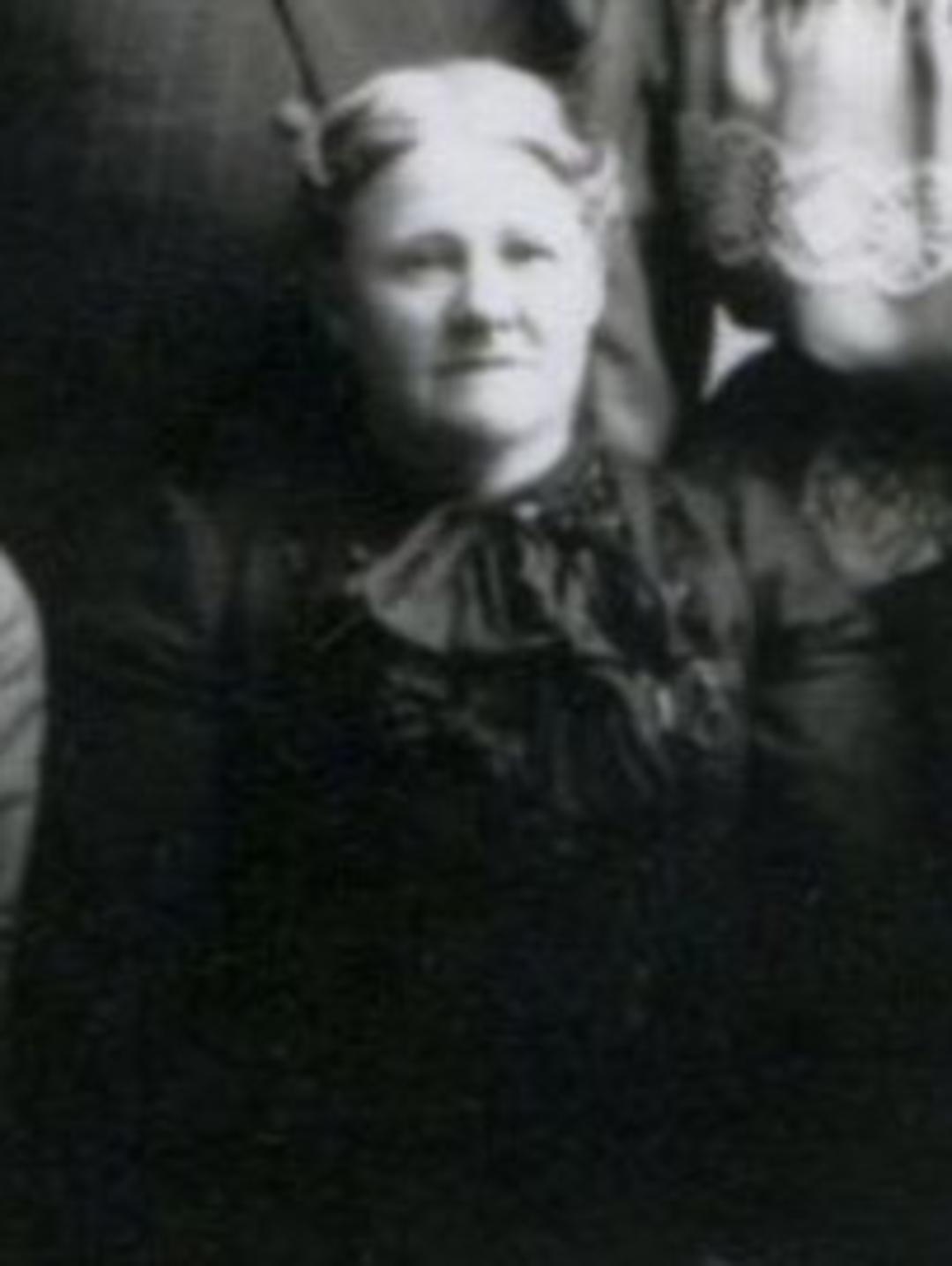 Anne Gibson (1851 - 1915) Profile